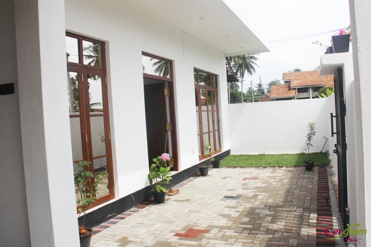 Ever Green Villa Negombo Eksteriør billede